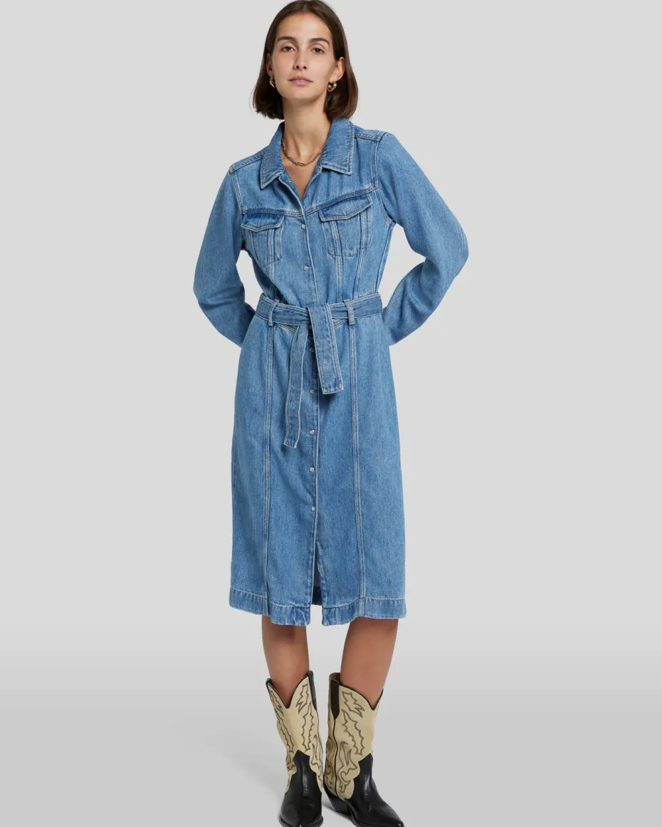 Denim Lustre Dress in Valentine