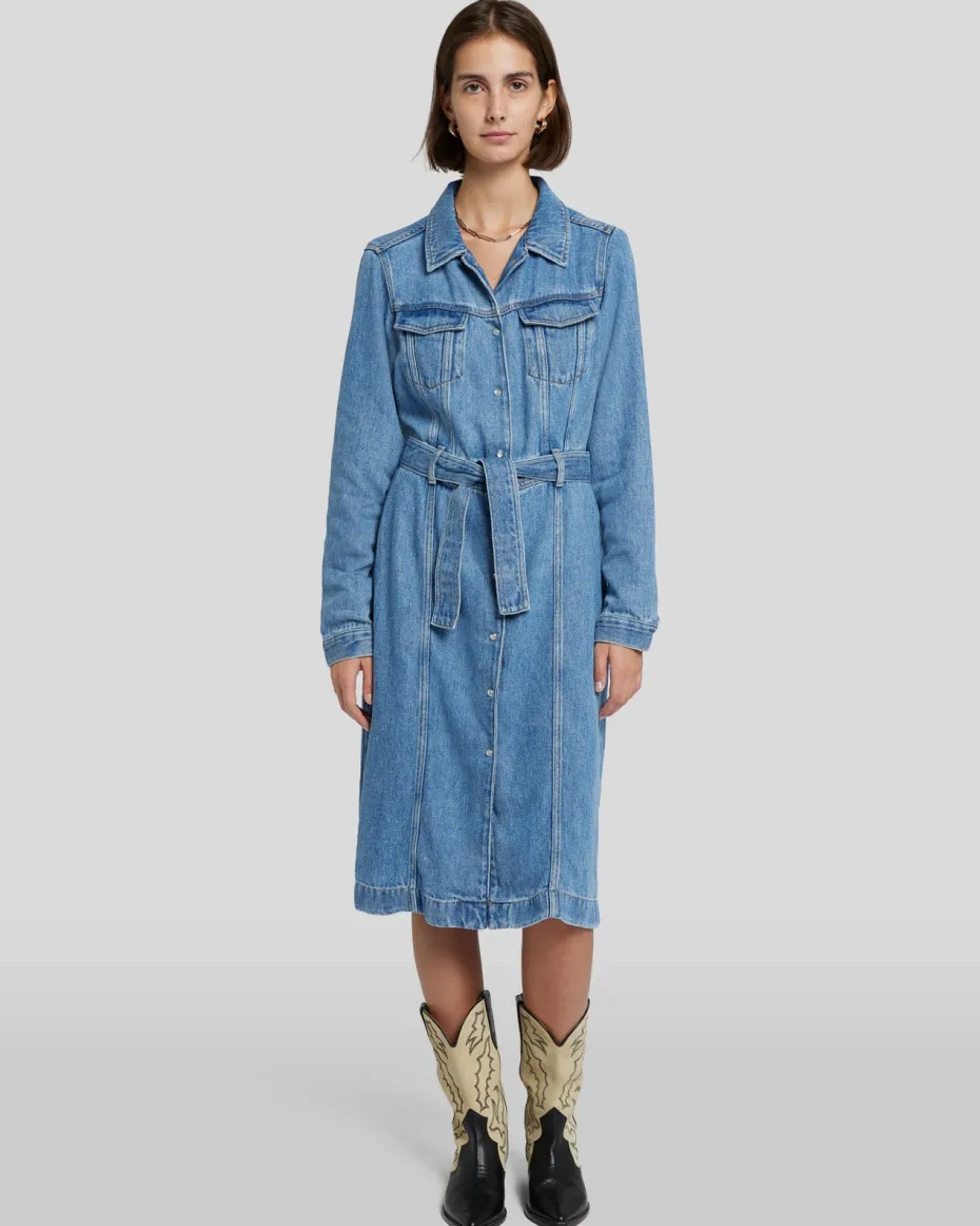 Denim Lustre Dress in Valentine